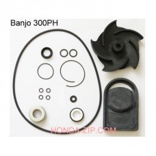 Комплект ремонтный помпы BANJO 300PH для перекачки КАС для патрубка 80мм