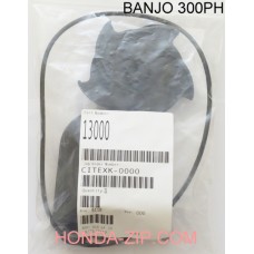 Комплект ремонтный помпы BANJO 300PH для перекачки КАС для патрубка 80мм